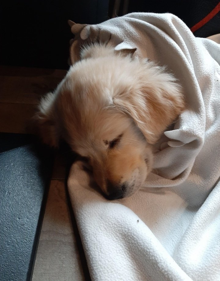 2022年07月18日
home — 10:22

—— nighty-night, baby.