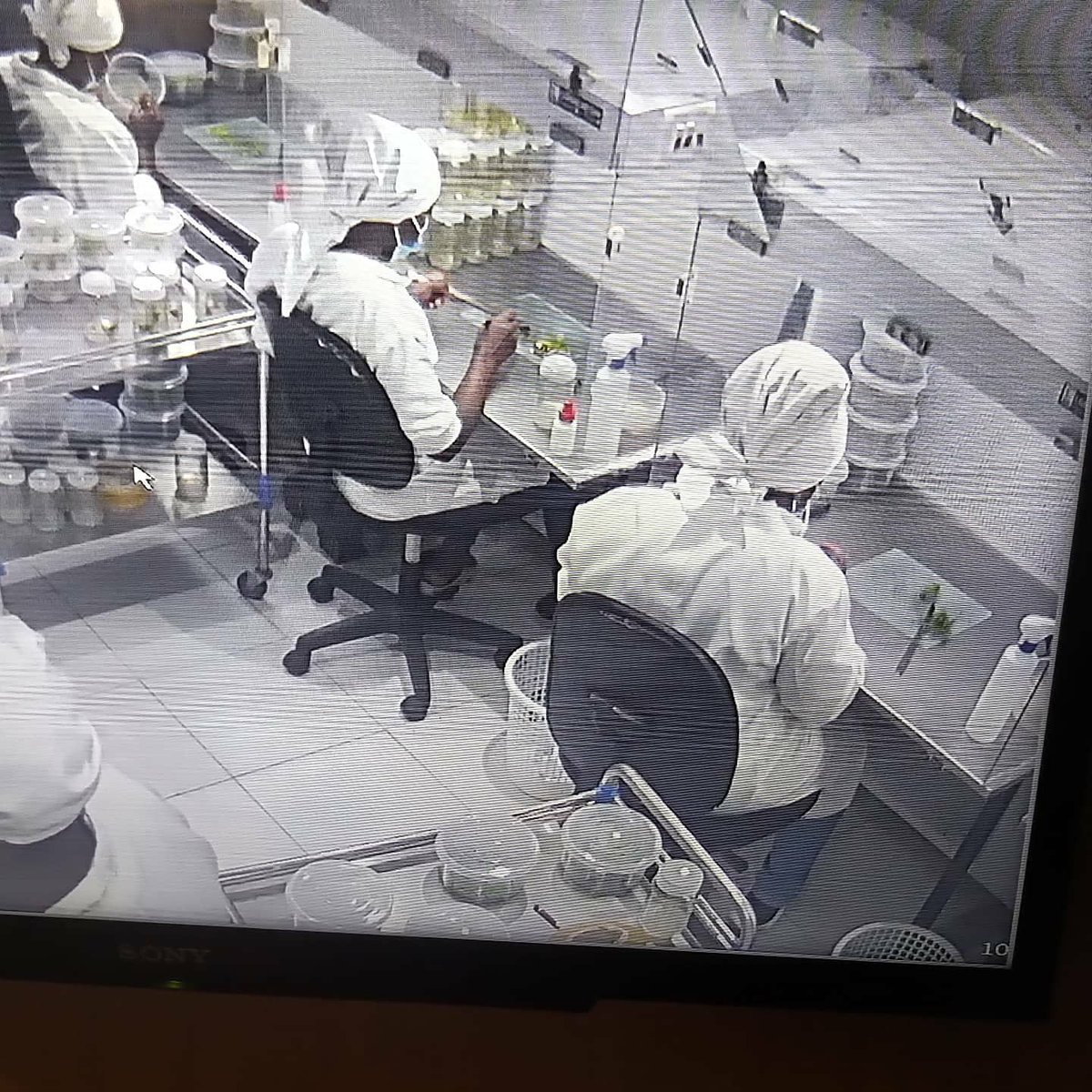 Kitil Farm tweet media