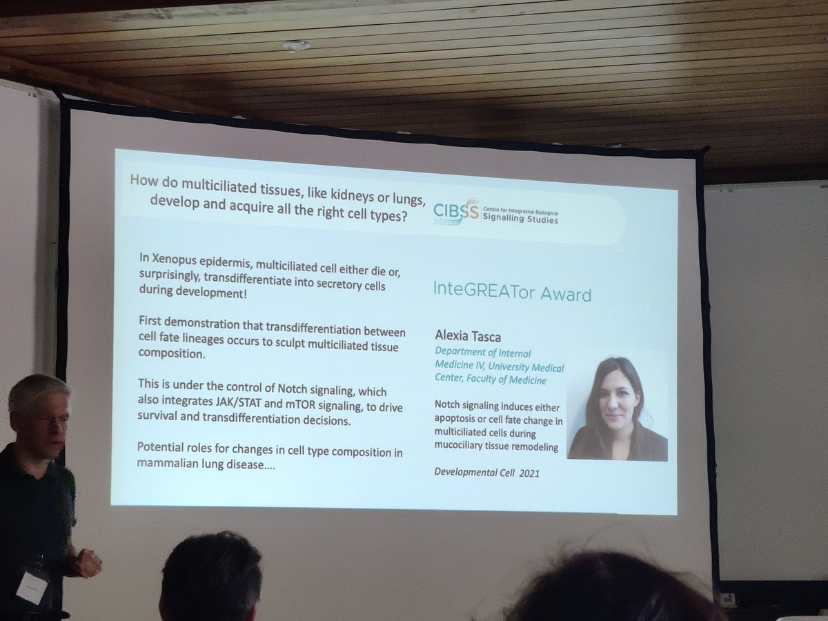 Big big biiiig congratulations 🎉 to <a href="/TascaAlexia/">Alexia Tasca</a> for receiving this year's <a href="/CIBSS_UniFR/">CIBSS</a> InteGREATor Award for her first first-aithot paper on MCC transdifferetiation! 
sciencedirect.com/science/articl…
👏👏👏👏👏👏