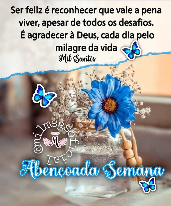 Sônia 💓🍀🌻🐬 on Twitter: Sônia 💓🍀🌻🐬 on Twitter: