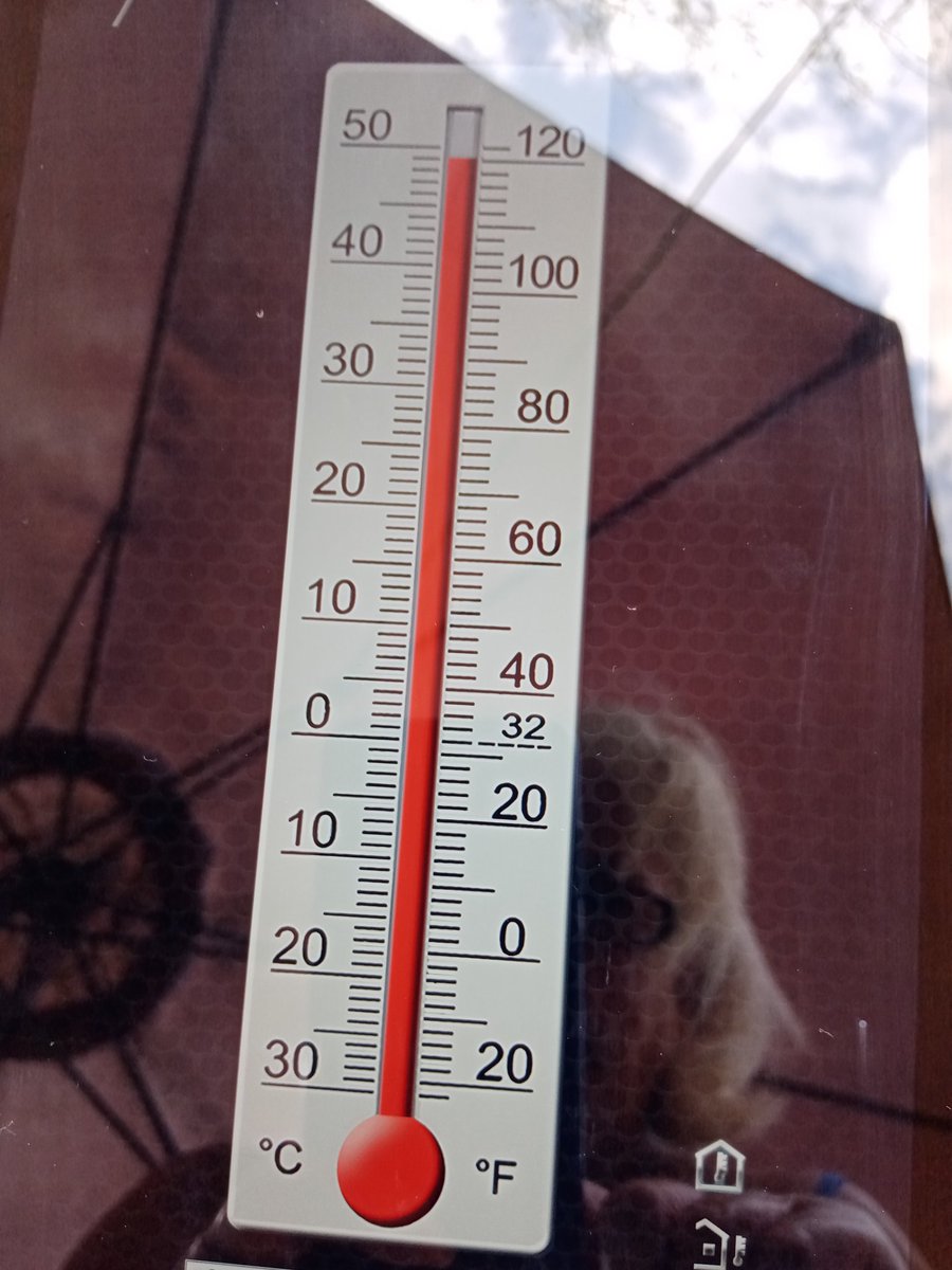 Elizabeth pickering tweet media