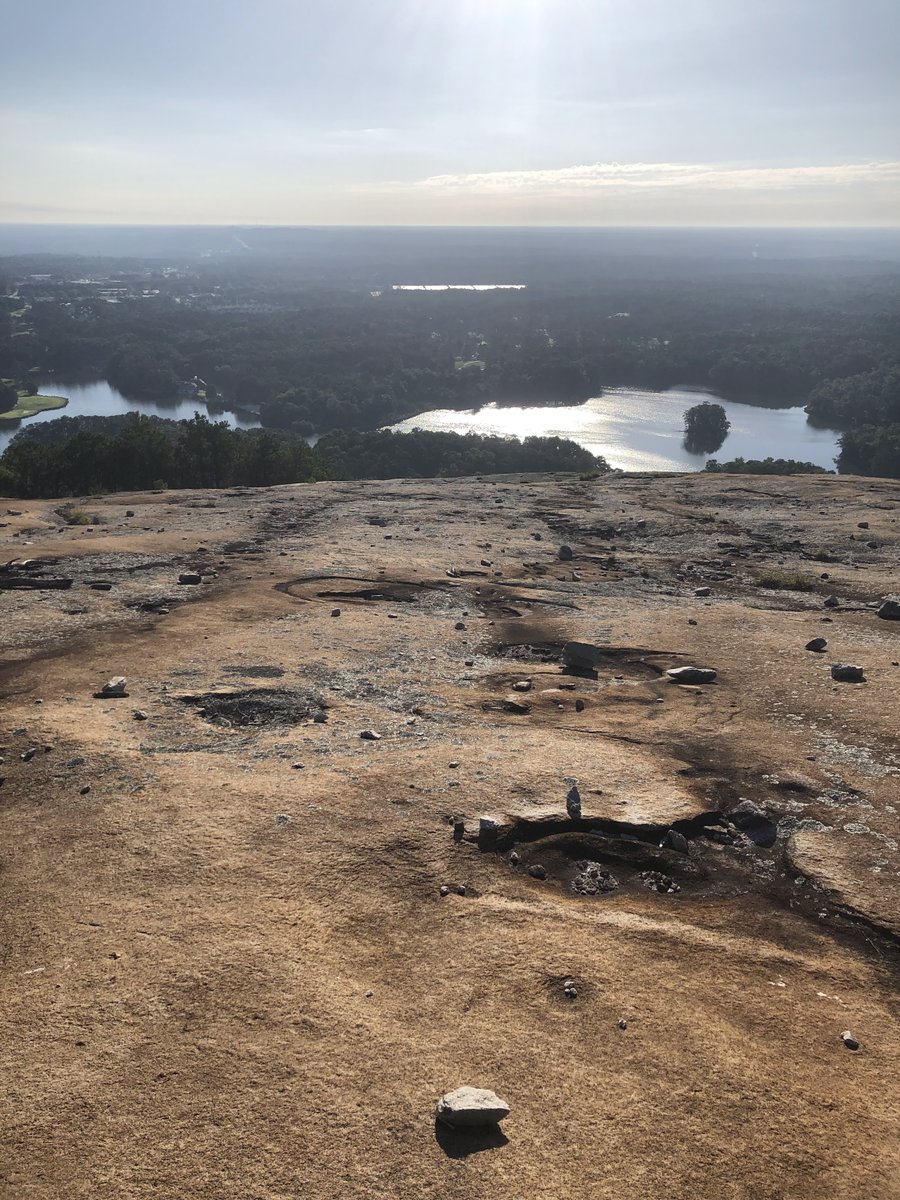 Carrie Beauchamp tweet media