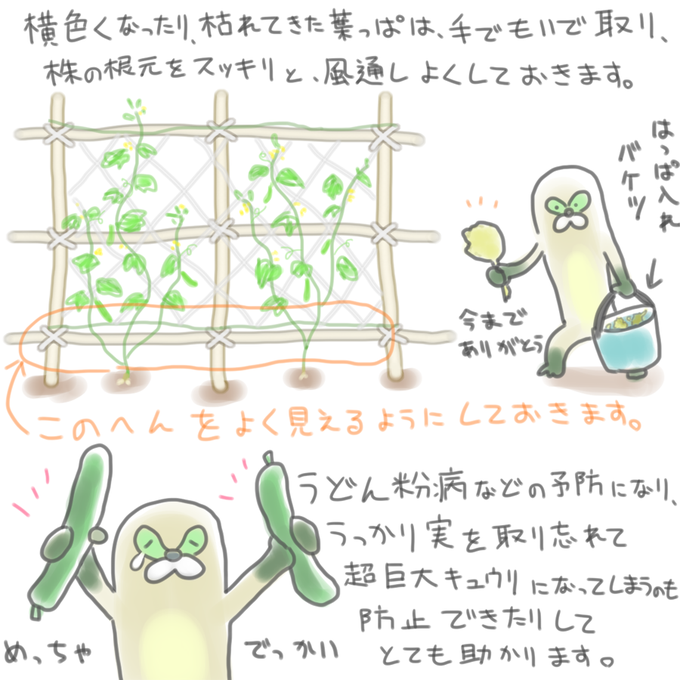 きゅうりのtwitterイラスト検索結果