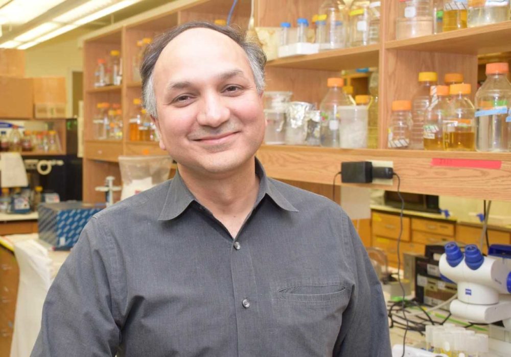 UofGuelphNews's tweet photo. What would using fewer nitrogen-based fertilizers in agriculture look like? 

@PlantAgGuelph researcher Dr. Manish Raizada explores the possibilities with ‘The Climate Question’ by @BBCWorldService | #UofG 

Listen here: https://t.co/8EDgCLBpWV https://t.co/IZZv46i1uW