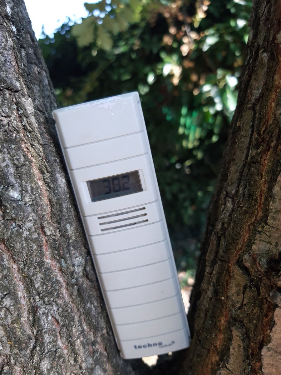 It's getting a bit warm.. 38.2*C in the shade of our oak tree.. see the max by the end of the day.....