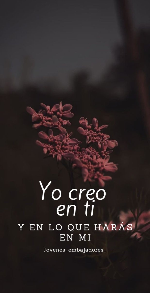JEmbajdores's tweet photo. Yo en creo en ti Jesús 💝 #hagamosviralajesus #YocreoentiJesus #Diostebendiga #Jesusteama #Diosesfiel #jovenescristianos https://t.co/wW1Xwvr4XM