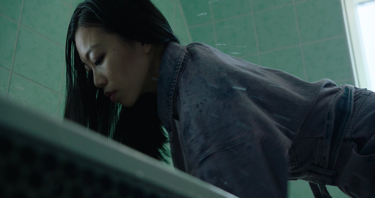 DerHundMitEinemGrund tweet media