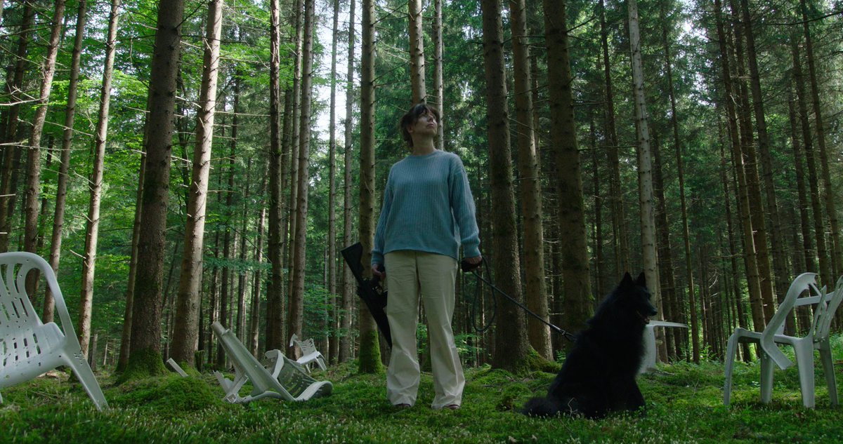 DerHundMitEinemGrund tweet media