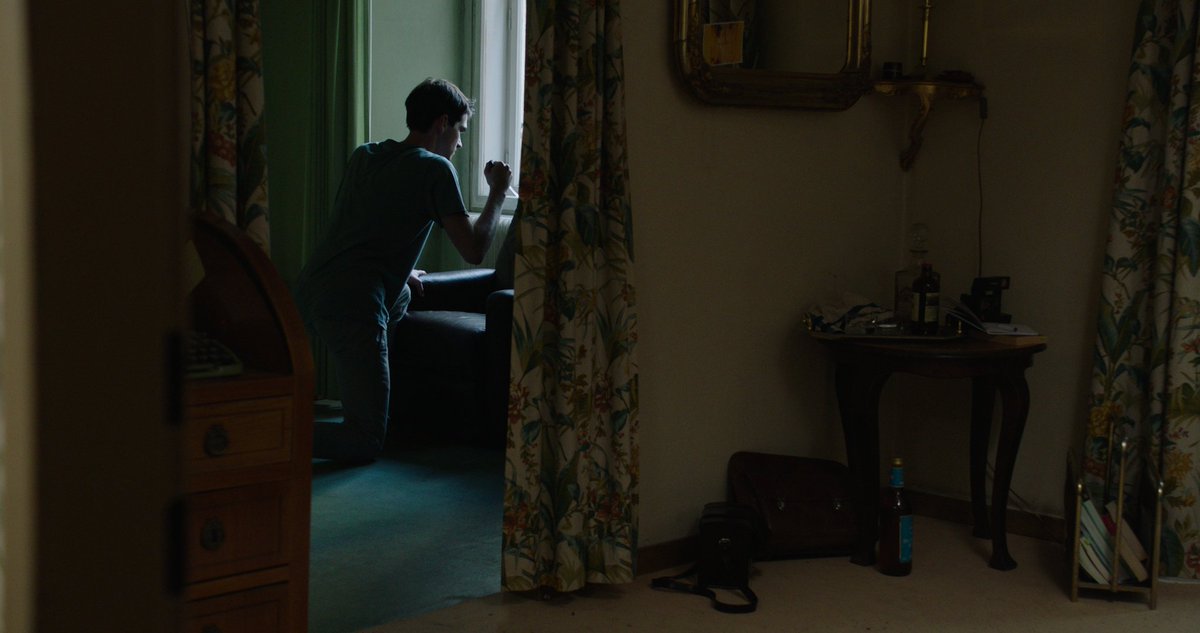 DerHundMitEinemGrund tweet media