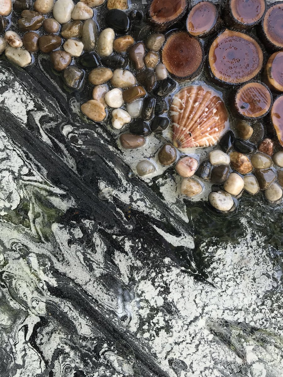 trapvsn's tweet photo. A canvas made 🖼 :
#PortfolioDay #PortfolioDay2022 #Portfolio #HealingTools #HighVibrationalMedicine #HighVibrationalTools #BlackTourmaline #CrystalQuartz #Seashells #SeaRocks #Copper #Wood #Resin #EpoxyResin #TuneInNow https://t.co/f2gY8n1KtN