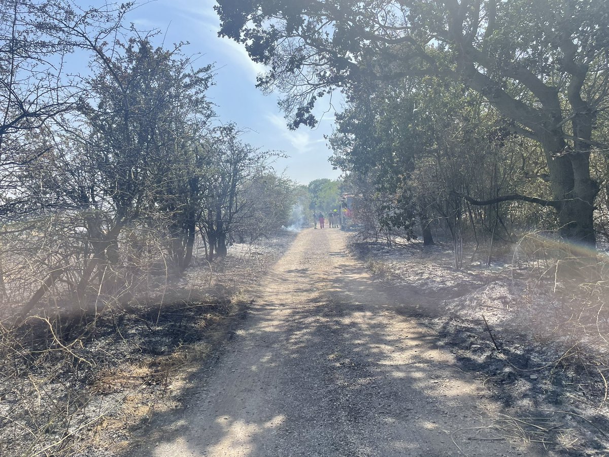 Leigh Holmes tweet media