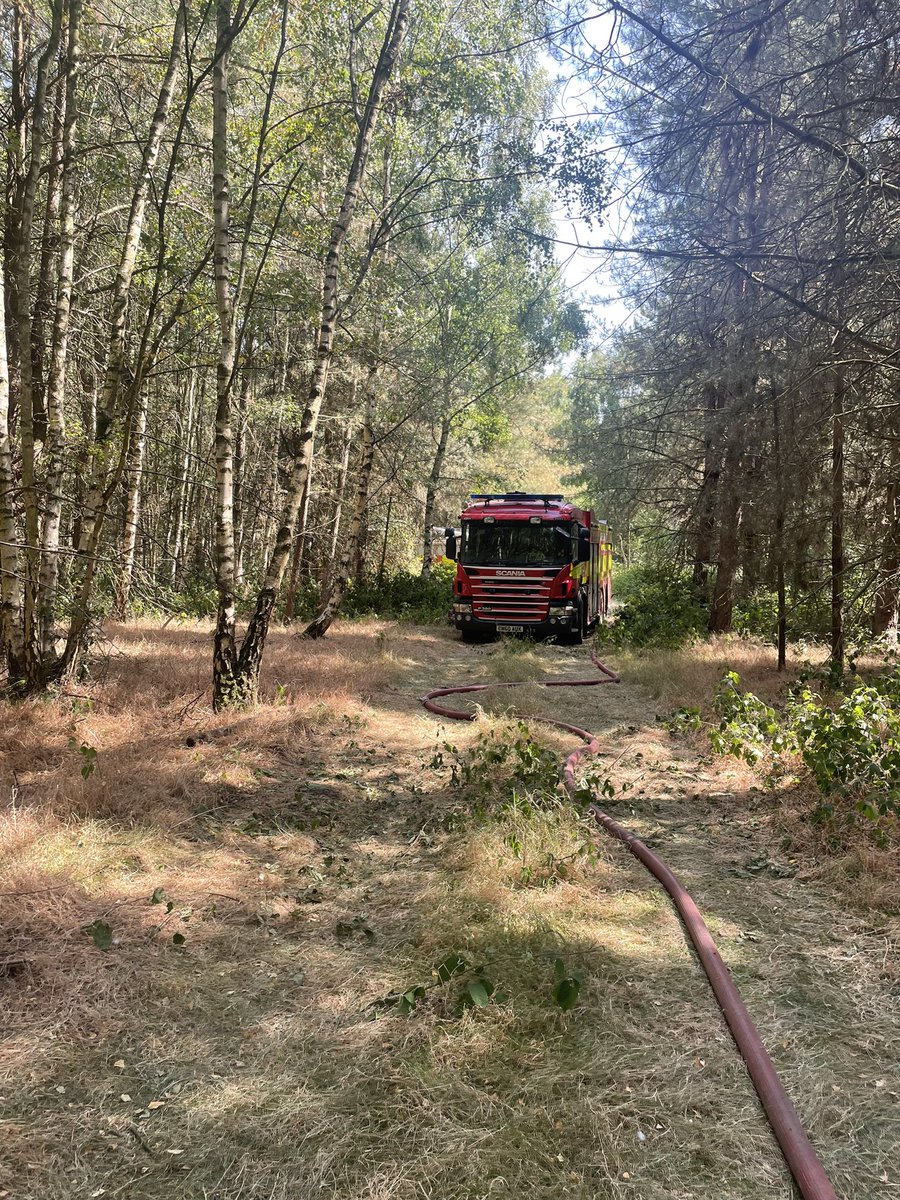 Leigh Holmes tweet media