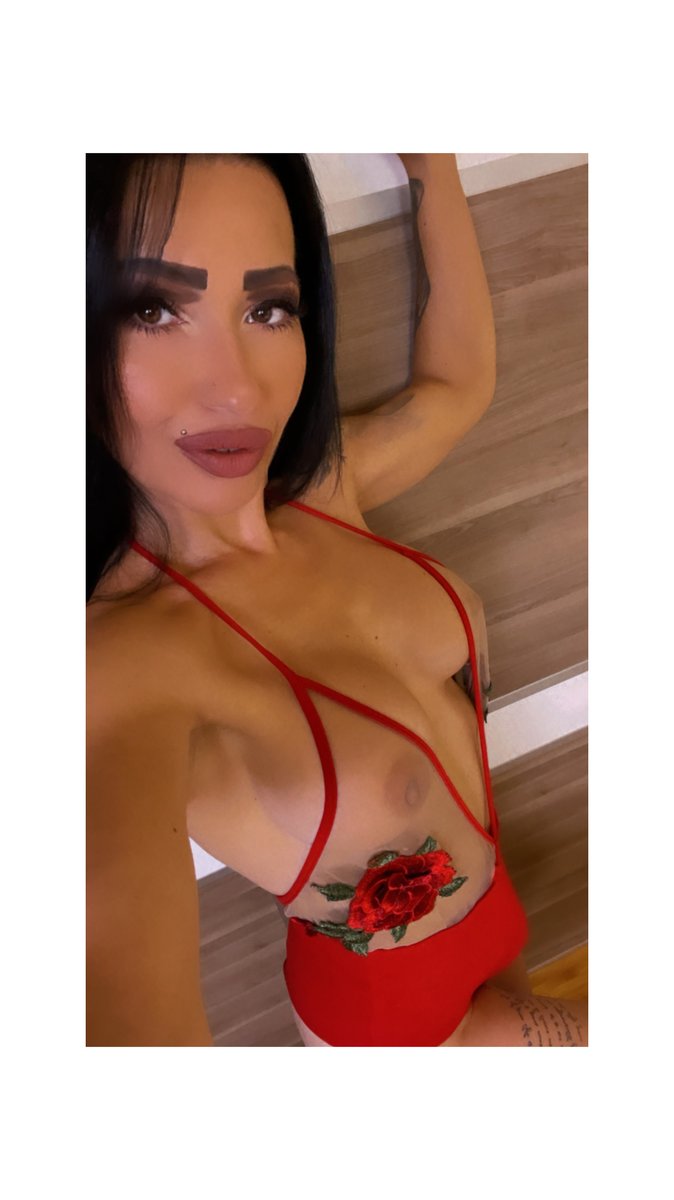 TsCaridi's tweet photo. My rose looks good🍆❤️‍🔥 https://t.co/tQP5BSllge