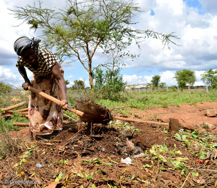 Greenpeace's tweet photo. The Kenyan government must put #PeopleBeforeProfits
@Greenpeaceafric is petitioning the Kenyan government to amend the current punitive seed laws and allow farmers to freely share and sell their seeds.
🖊 Sign the #SeedIsSovereign petition 📣 on https://t.co/Gne7N4N3A0 https://t.co/i9sDN8j06T