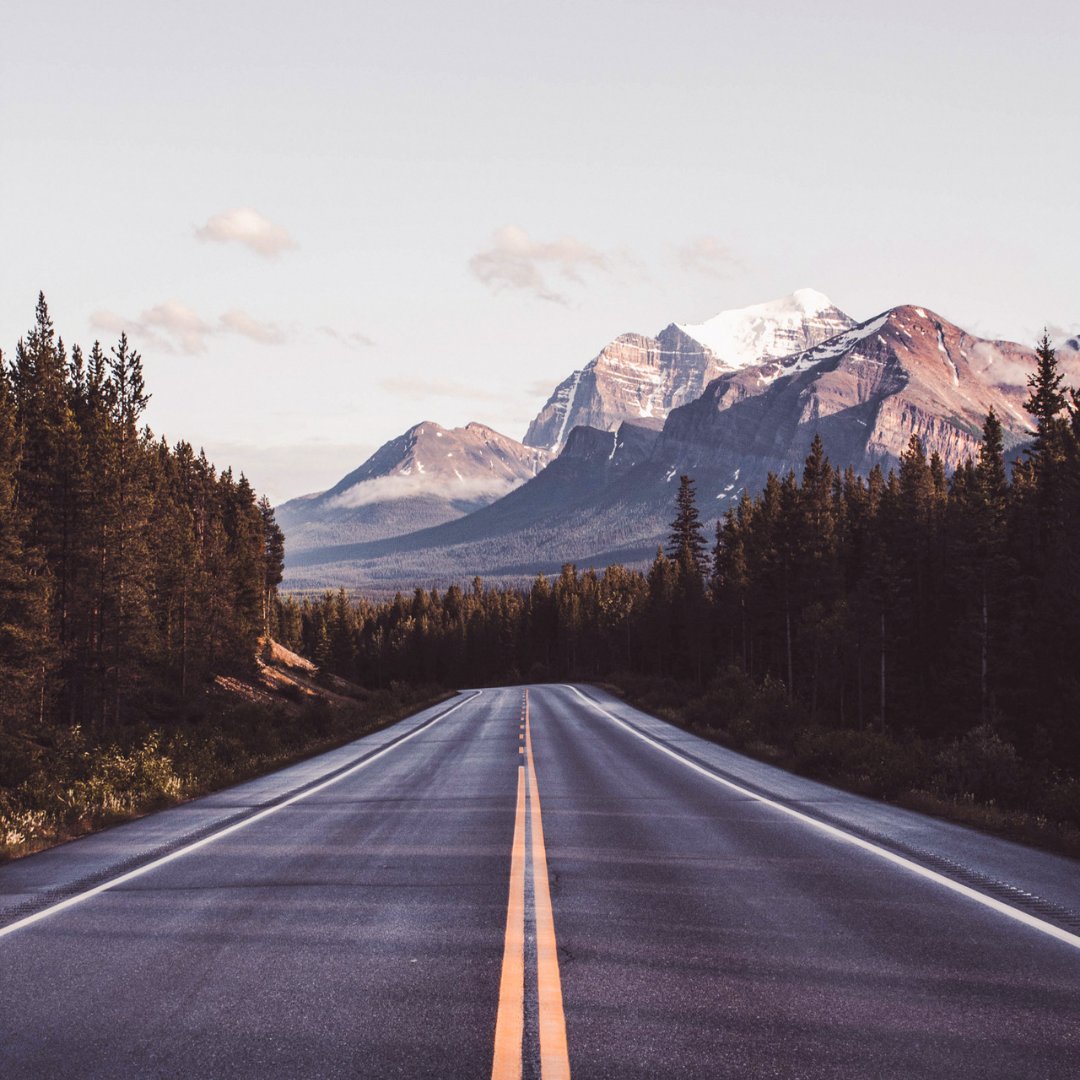 BV Creative tweet media