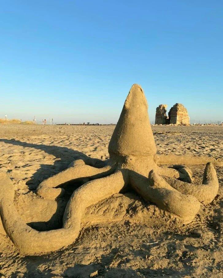 UNSTOPPA₿LE tweet media