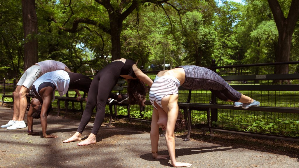 ModoYogaNYC's tweet photo. Hot yoga in hot weather?? Link below for this week's newsletter, full of tips for keeping your practice going strong through the summer🔥

https://t.co/TWk2cgjW1O https://t.co/xndZDSsj4D