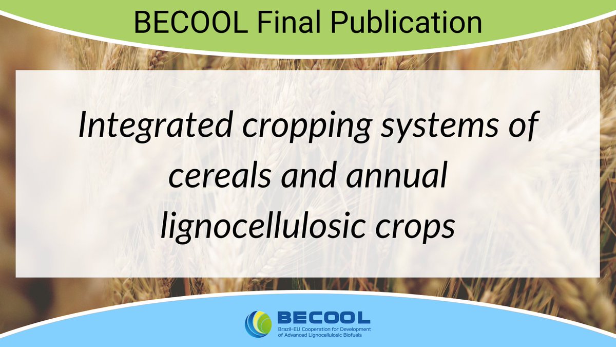 BECOOL has found out that the #biomass yield of multiannual #rotations of #cereals and lignocellulosic #crops are higher than those with cereal-fallow only, and are effective in contributing to #soilhealth and reducing #fertilizers needs.

Learn more: bit.ly/3PnN5pi