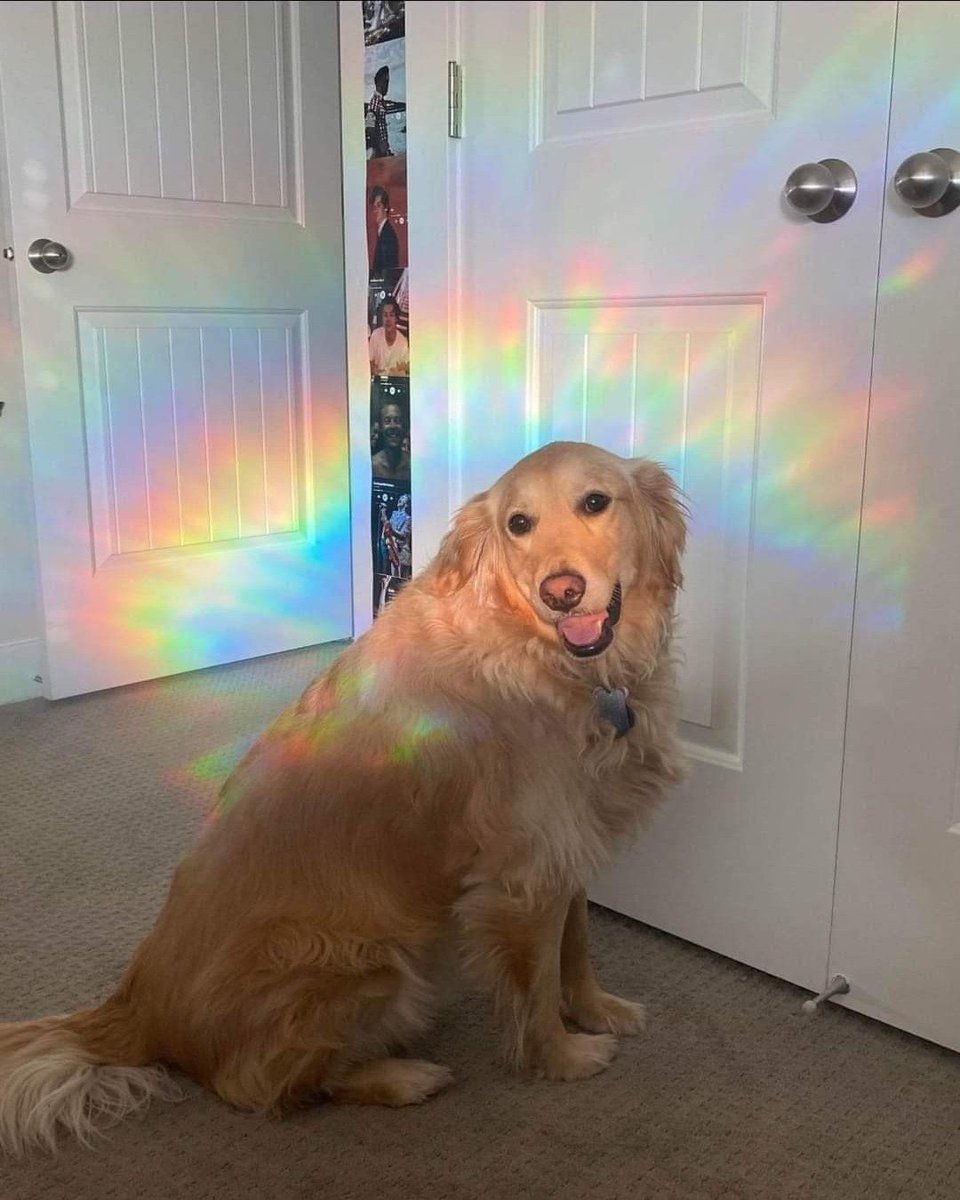 ✨🌈✨