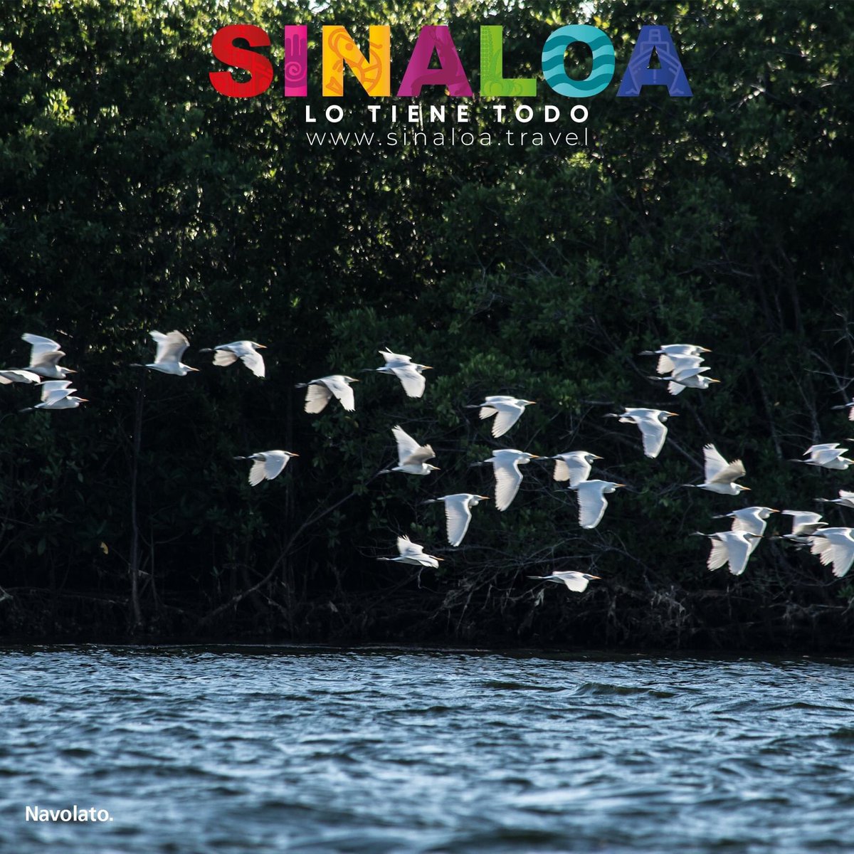 ¿Conoces Navolato?

Es un hermoso lugar a solo unos minutos de Culiacán, que se distingue principalmente por su rica gastronomía.

Sinaloa lo tiene todo

#VisitSinaloa 
sinaloa.travel