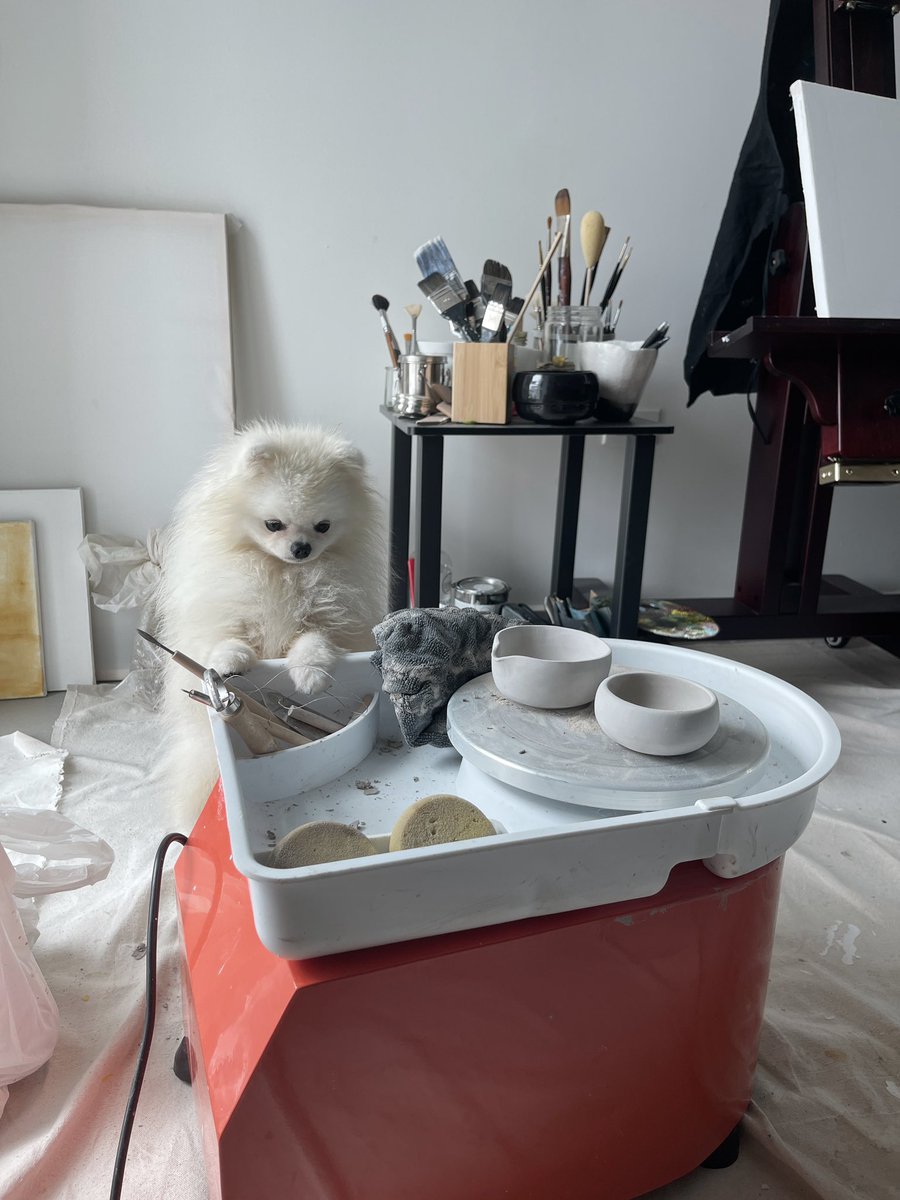 laurydn's tweet photo. GM from my studio assistant and I. 
Practicing some ceramic wheel throwing today. Still got a lot to learn🏺 https://t.co/0iV4DJBqpo