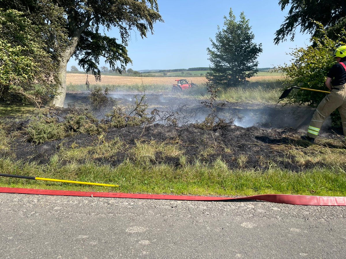 theArches1's tweet photo. People! So nearly could have worse. That’s a field of ready to combine winter barley in the background.
Many thanks go to Fire brigade and Will Callander.
There was remnants of a campfire, dry conditions and a breeze, perfect for bigger fire! https://t.co/uvkEbL3bwN