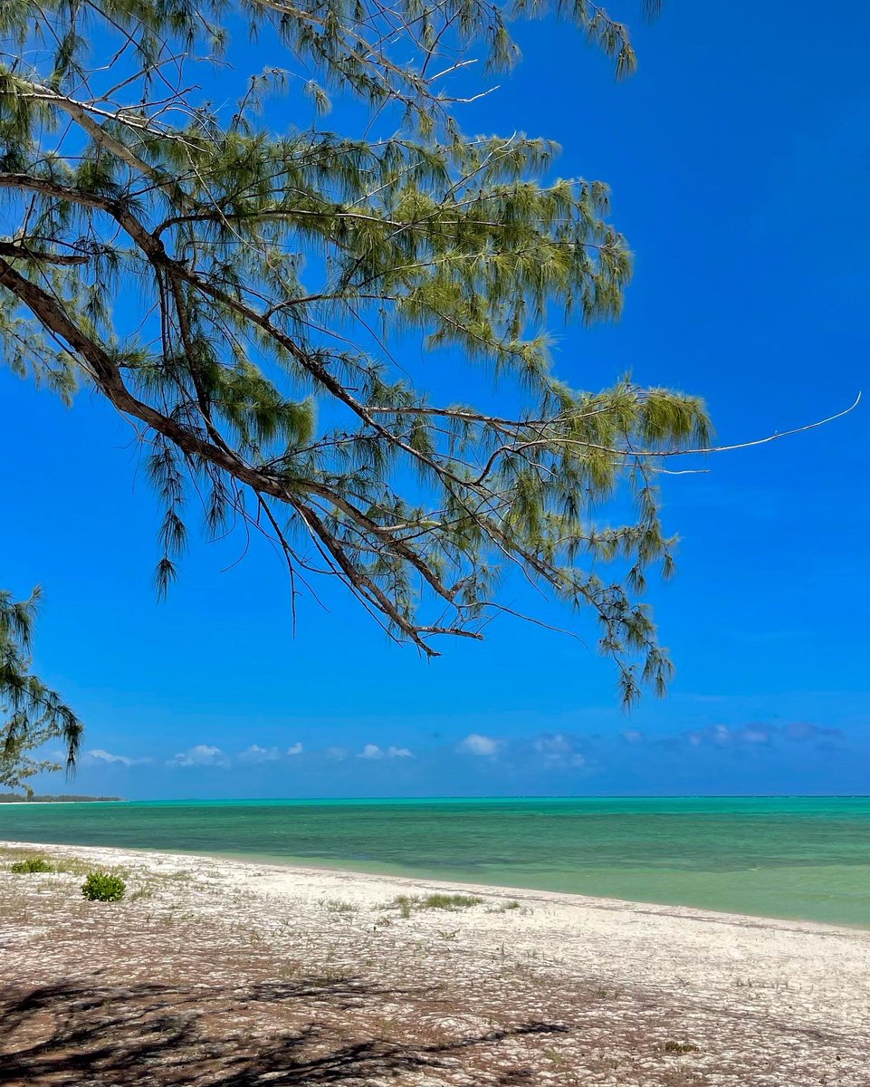 When your Rum Punch matches the ocean 😎