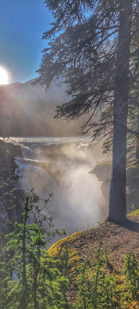 NorthrnLati2des's tweet photo. The always picturesque Athabasca Falls. https://t.co/wgUMZO7J1B