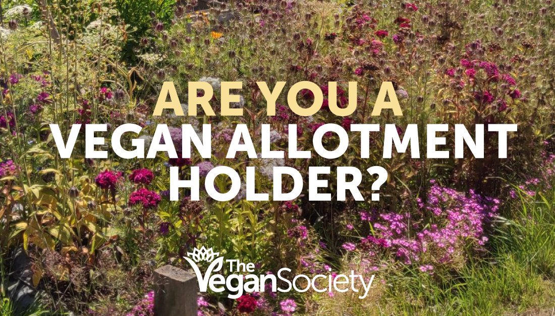 TheVeganSociety tweet picture