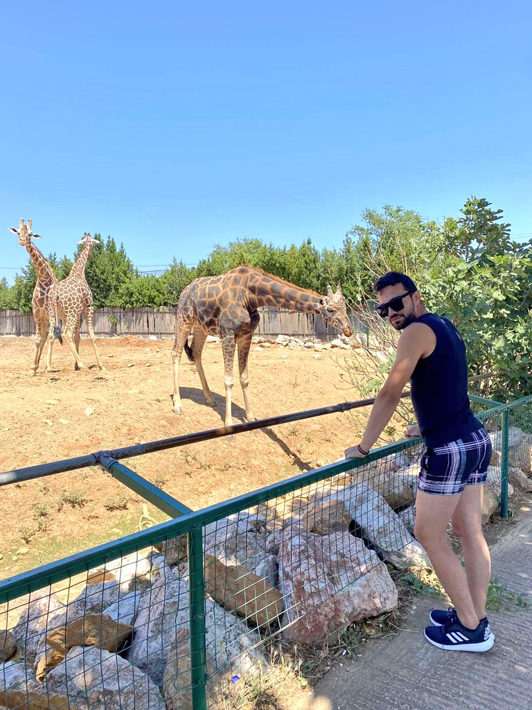 Θεμιστοκλής κοκκωνης (@themiskok) on Twitter photo 