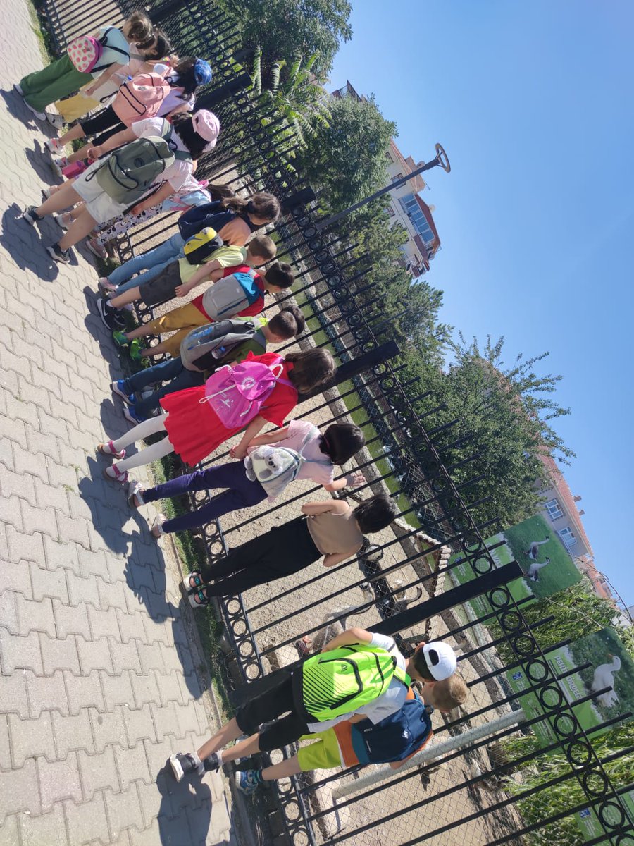 Buse eğitim kurumlarında yaz okulu 1. Grubumuz etkinliklere devam ediyor. #Yazokulu  #kolej #BuseKolej