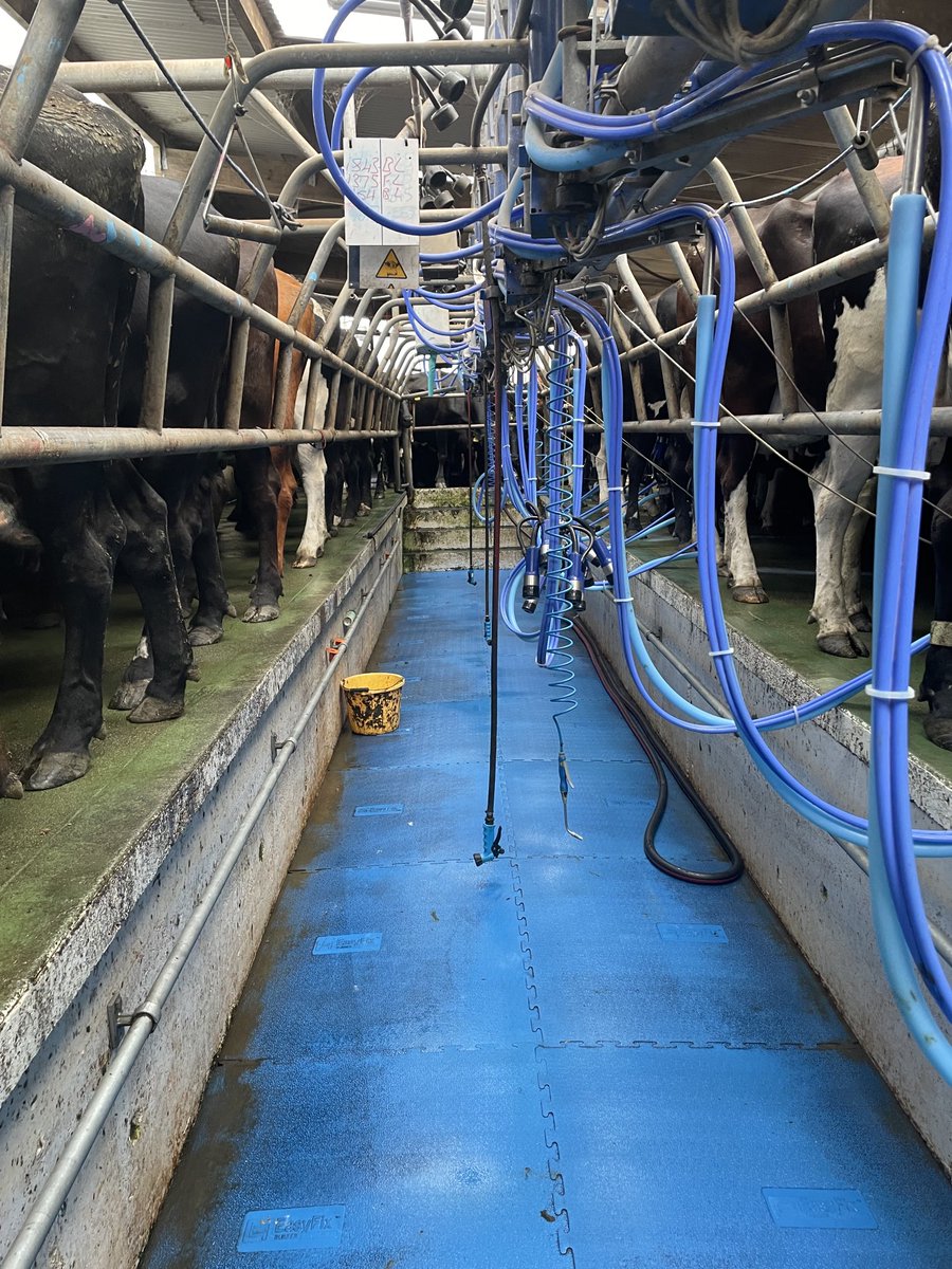 MargueriteCrowl's tweet image. Some heat in here this evening, neck fan is mighty though #sweltering #neckfan #breeze