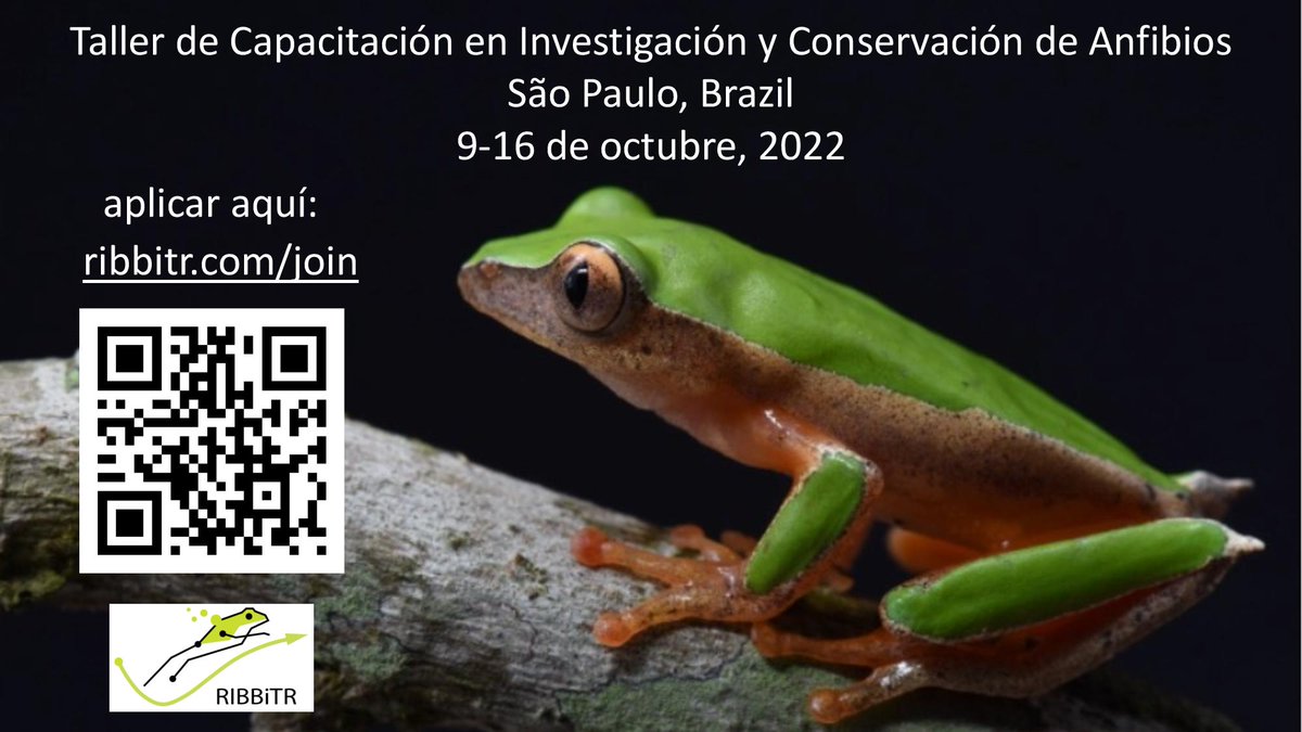 Check it out! Applications accepted in English, Português, and Español.