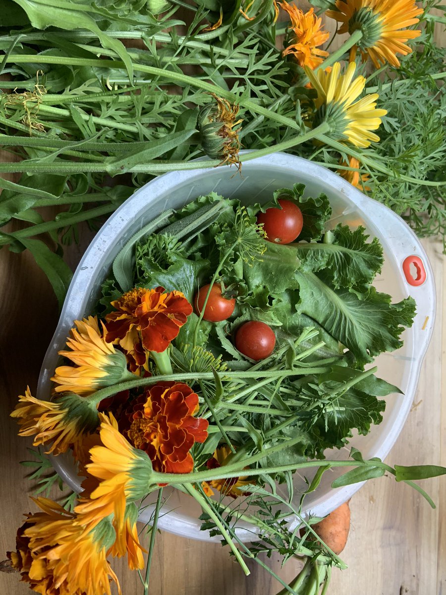It’s happening! #harvest #writershobby #michiganlife #almostashardaswriting