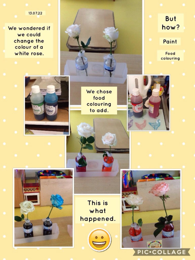 academy_nwpn's tweet photo. #eyfsunderstandingtheworld #nursery @RedhillTrust https://t.co/H8gFGQeiKM