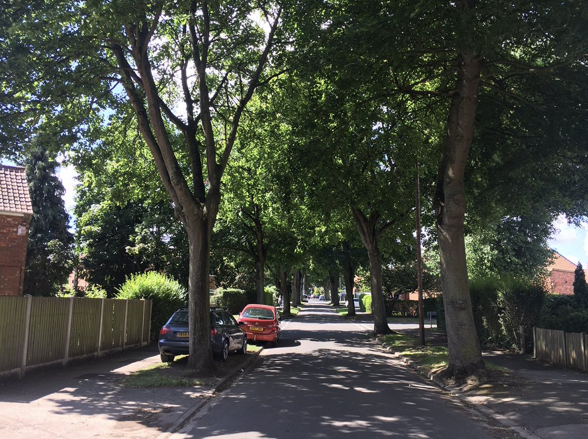 A day to say thank you to the trees #UKHeatwave