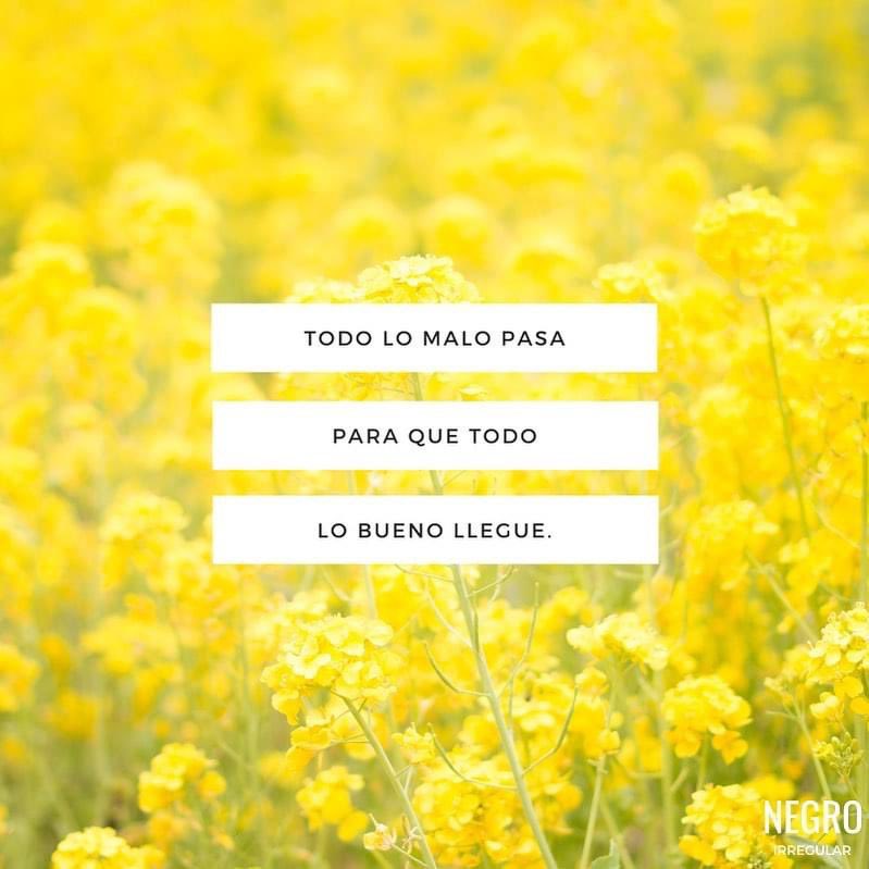 karinagarciasal's tweet photo. Todo lo malo pasa para que todo lo bueno llegue. 🫰🏻🫶🏻
#NegroIrregular https://t.co/42bFnFx63w