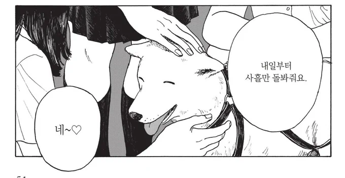 얘 보면 저분 왕강아지 떠오름,. 