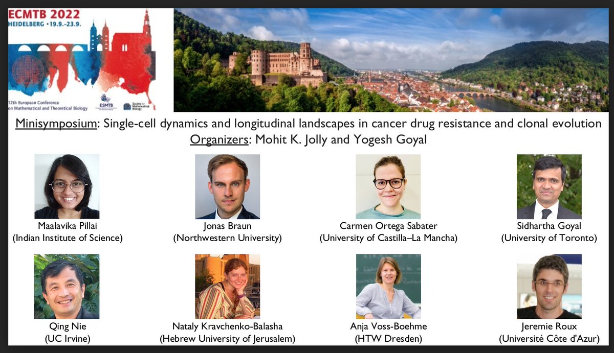 mkjolly15's tweet photo. Excited to co-organize a session at @smb__2022 @ecmtb2022, with @yogeshgoyallab on single-cell trajectories of cancer drug resistance. Look forward to exciting talks by @BalashaLab @jrxlab @MaalavikaP @sidharthagoyal @UCI_CMCF @carcarortega. @molab_uclm @SMBMathOnco @CancerSysBio https://t.co/XCRxpLpePN