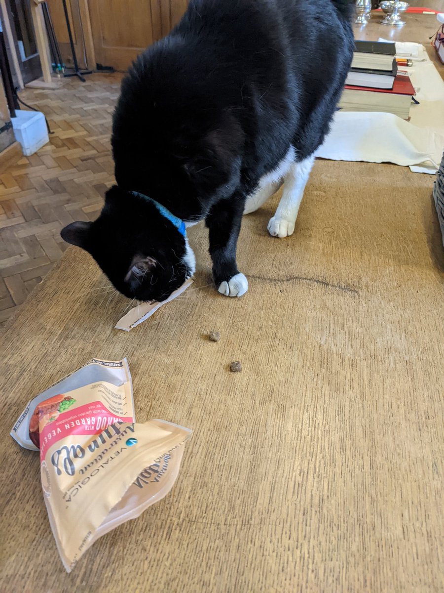 Hello @HodgeTheCat! It was wonderful to meet you this morning! Maybe kangaroo-meat cat treats are an acquired taste… Sorry they weren't Dreamies!