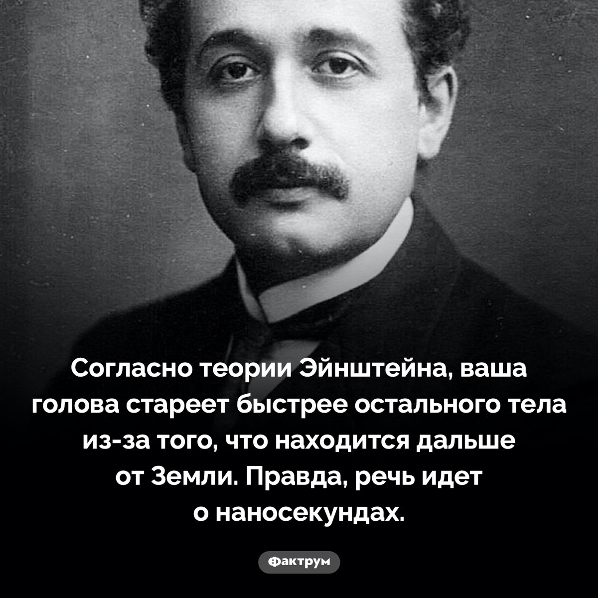 Фактрум (@factroom) on Twitter photo 