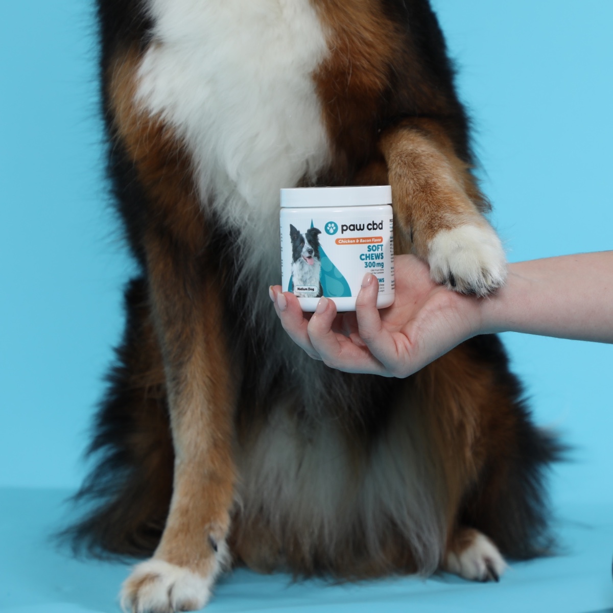 Paw CBD tweet media