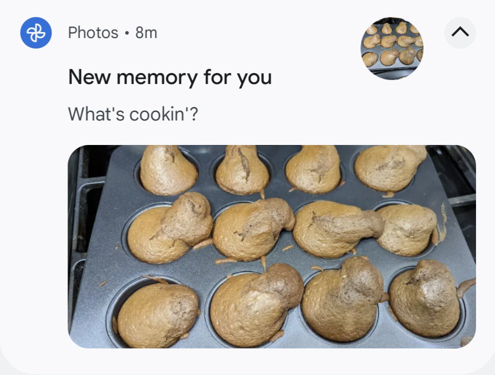 Google Photos tries hard, but ... I don't think this is the Instagram post it was going for