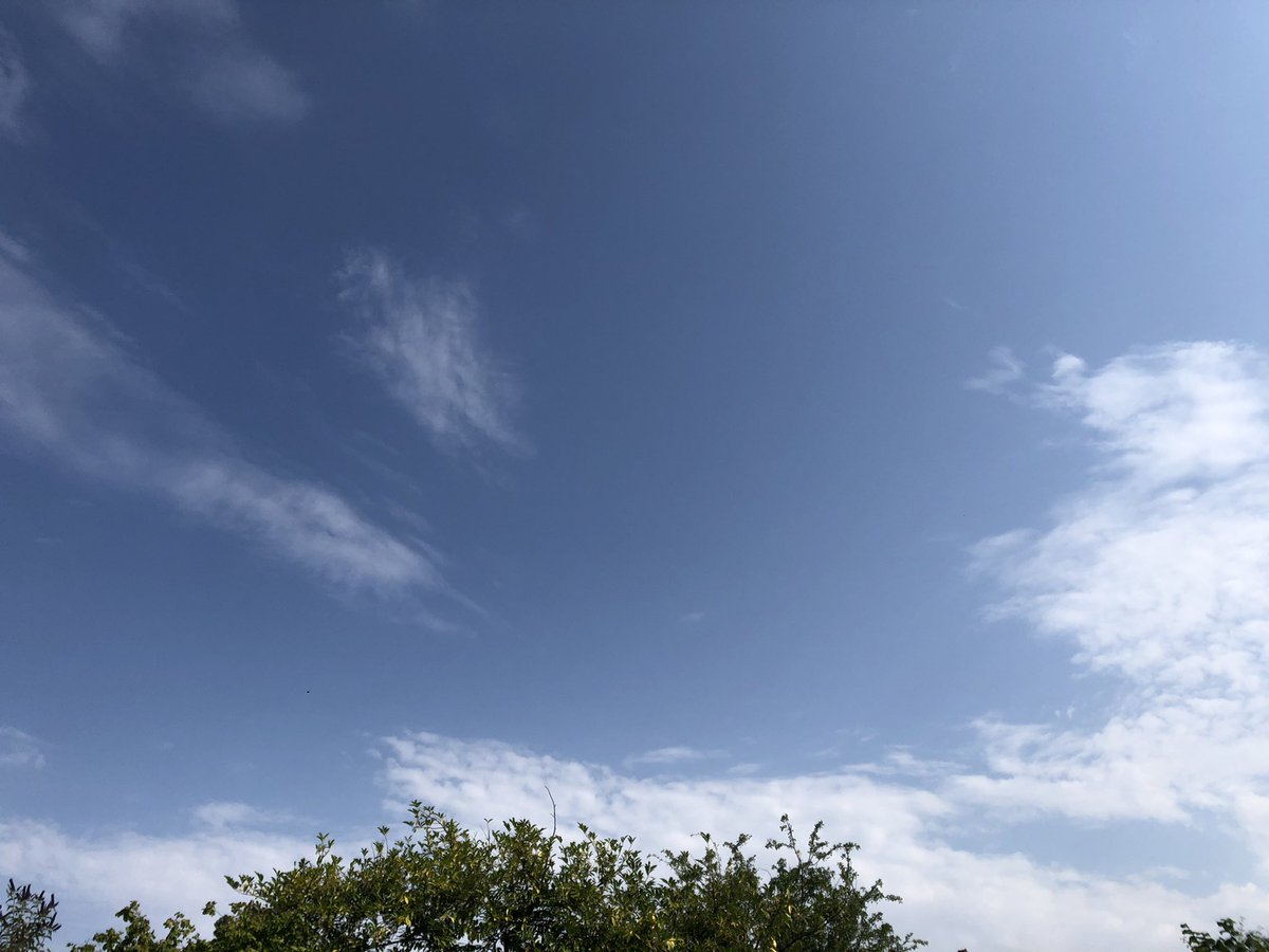 woollenwords's tweet photo. Cirrostratus smeared around the sky. Carried over the treetops on the fan-oven breeze, Elvis can’t help falling in love with me. He sounds as though he is melting. Maybe it’s just the vinyl. #39C #heatwave #gloucestershire https://t.co/RL1piQGRfj