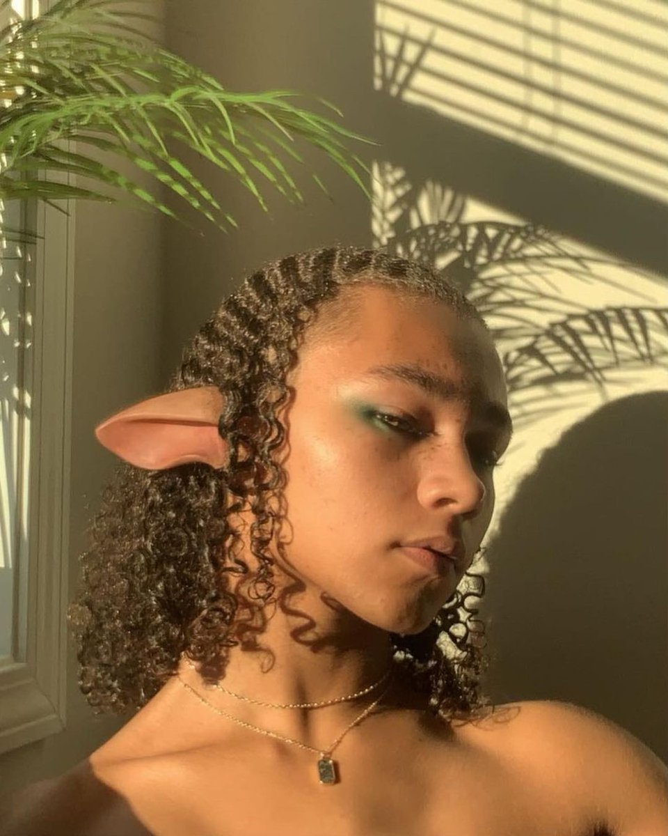 Instagram tweet media