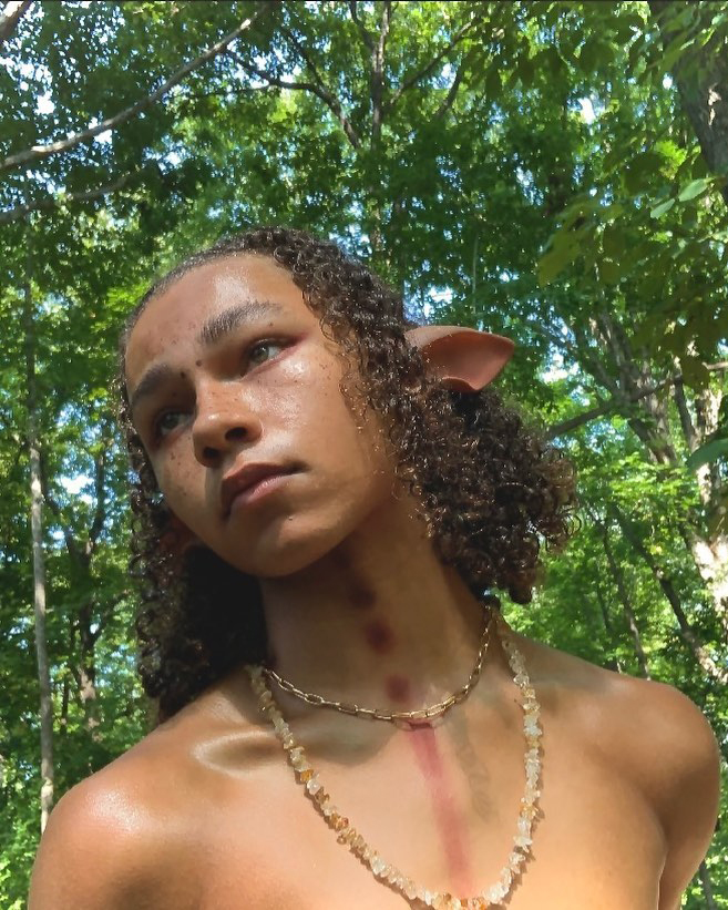 Instagram tweet media