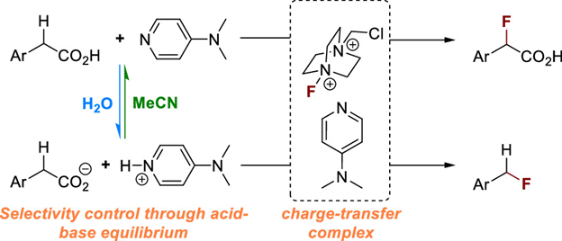J Org Chem/Org Lett (@joc_ol) on Twitter photo The combination of Selectfluor and DMAP enables divergent radical fluorination of phenylacetic acids. Check out the work in #OL from @PieberLab <a href="/MpiciPotsdam/">Max Planck Institute of Colloids and Interfaces</a> and <a href="/unipotsdam/">Universität Potsdam</a> spearheaded by <a href="/amieramadani/">Amiera Madani</a>. pubs.acs.org/doi/10.1021/ac… The combination of Selectfluor and DMAP enables divergent radical fluorination of phenylacetic acids. Check out the work in #OL from @PieberLab <a href="/MpiciPotsdam/">Max Planck Institute of Colloids and Interfaces</a> and <a href="/unipotsdam/">Universität Potsdam</a> spearheaded by <a href="/amieramadani/">Amiera Madani</a>. pubs.acs.org/doi/10.1021/ac…