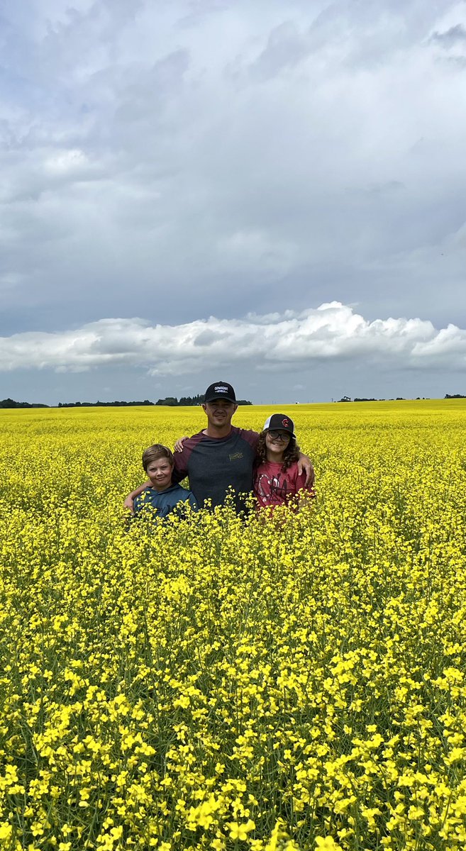 Faba beans and canola coming along nice in central Alberta. Caution! Our short stature may make crops appear taller than they really are.