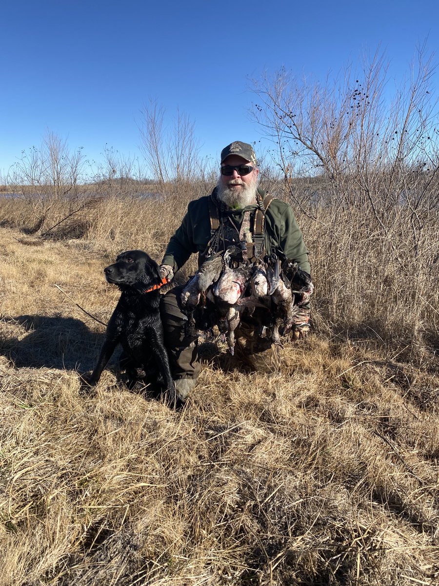 SuzieQuackers2's tweet photo. I'm not really counting the days till Nov 5th! I also want to sell you all that Ocean front property in AZ I own! Any takers??? #LabradorRetriever #RetrieversSaveGame #HuntingFeedsMyFamily https://t.co/CxbZdeYNDN