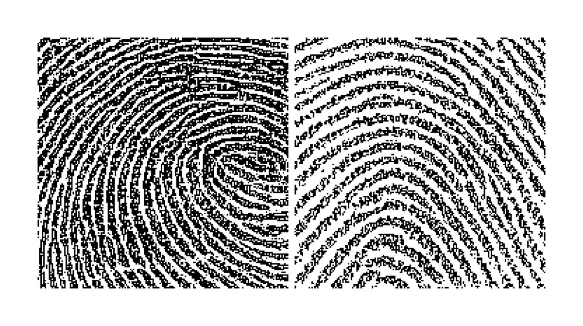 (GALLERY) tweet media